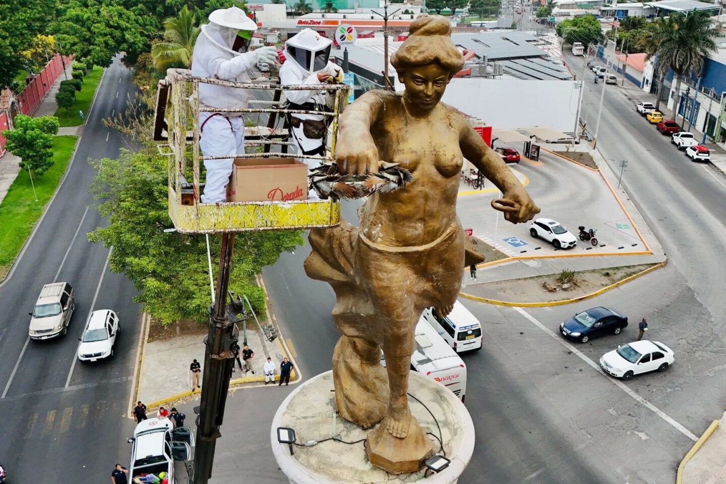 Rescatan más de 80 mil abejas del Ángel de la Independencia por instrucción de Geraldine Ponce