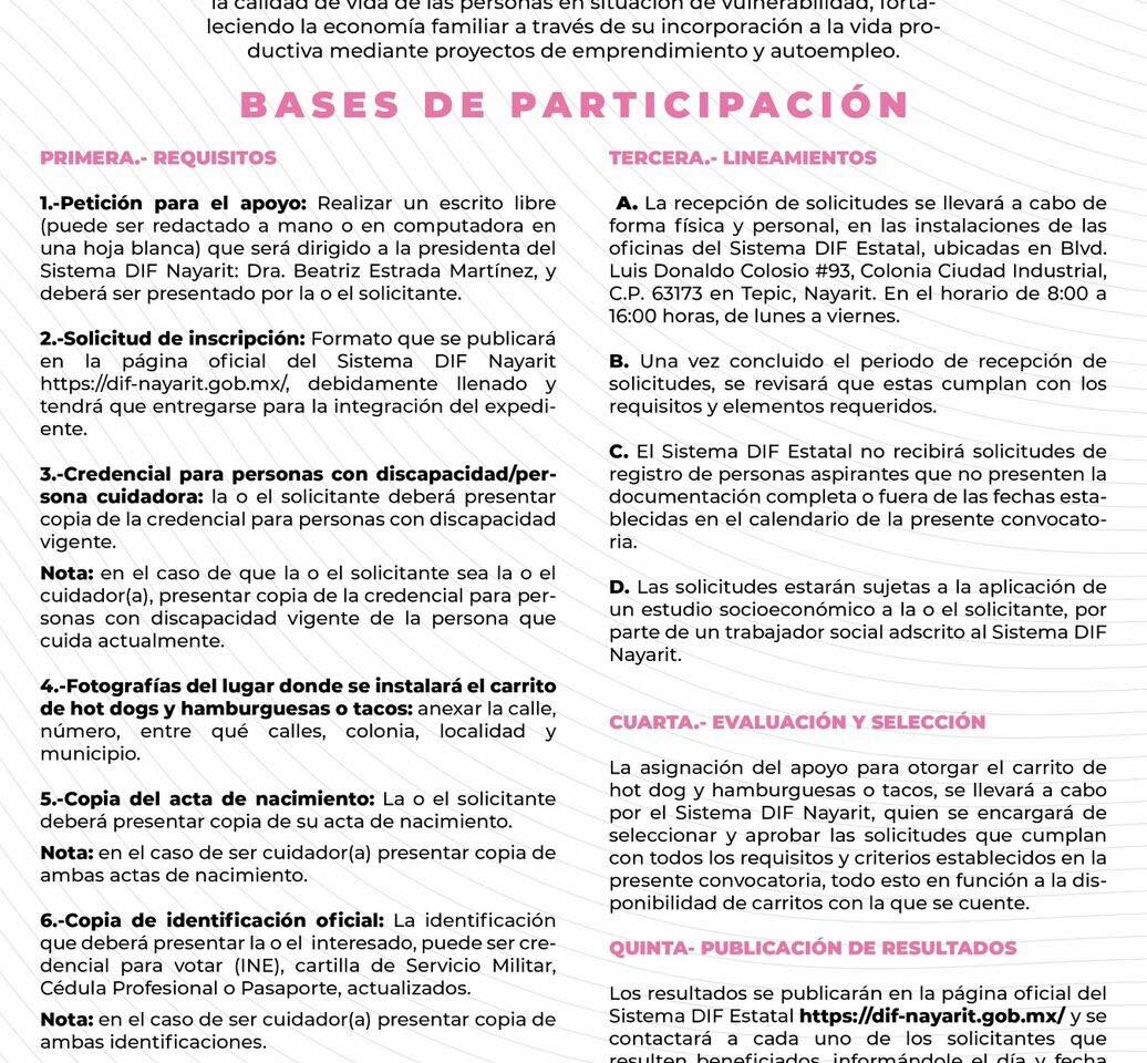 DIF Nayarit abre convocatoria para apoyar a personas con discapacidad y cuidadores con carritos de comida