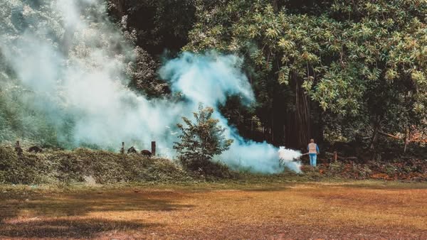 Gobierno de Nayarit continúa apoyando a comunidades afectadas por las lluvias