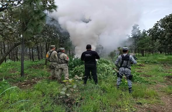 Nayarit refuerza su estrategia de seguridad y bienestar fami
